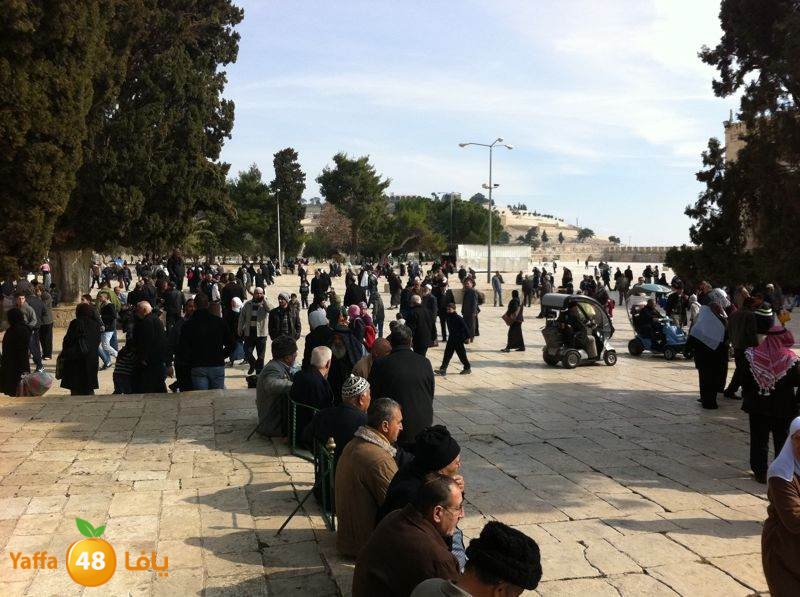 yaffa byareq 0114 (12).jpg